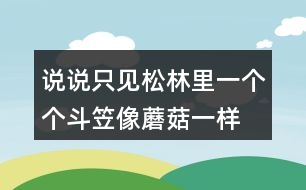 說(shuō)說(shuō)“只見(jiàn)松林里一個(gè)個(gè)斗笠像蘑菇一樣”的意思,你看到了什么畫(huà)面?