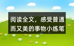 閱讀全文，感受普通而又美的事物小練筆