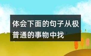 體會下面的句子從“極普通的事物”中找到美