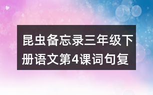 昆蟲備忘錄三年級下冊語文第4課詞句復習要點筆記