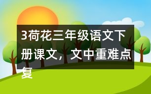 3荷花三年級(jí)語(yǔ)文下冊(cè)課文，文中重難點(diǎn)復(fù)習(xí)筆記歸納