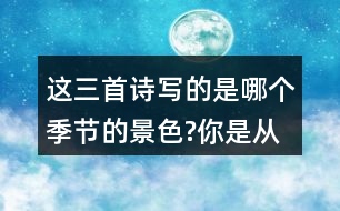 這三首詩(shī)寫(xiě)的是哪個(gè)季節(jié)的景色?你是從哪些地方發(fā)現(xiàn)的?