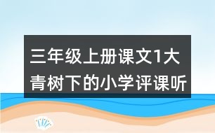 三年級上冊課文1大青樹下的小學評課聽課記錄