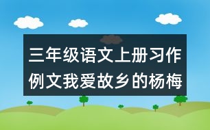 三年級(jí)語(yǔ)文上冊(cè)習(xí)作例文：我愛故鄉(xiāng)的楊梅優(yōu)秀范文2篇