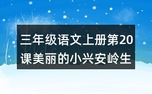 三年級語文上冊第20課美麗的小興安嶺生字組詞與多音字組詞