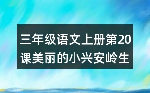 三年級(jí)語文上冊(cè)第20課美麗的小興安嶺生字組詞及拼音