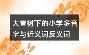 大青樹(shù)下的小學(xué)多音字與近義詞反義詞