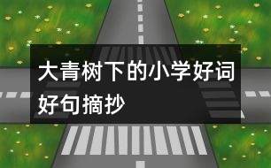 大青樹下的小學(xué)好詞好句摘抄