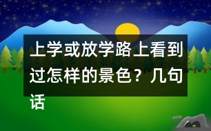 上學(xué)或放學(xué)路上看到過怎樣的景色？幾句話寫下來