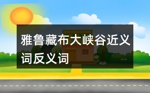 雅魯藏布大峽谷近義詞反義詞