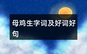 母雞生字詞及好詞好句