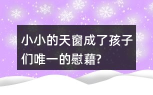 小小的天窗成了孩子們“唯一的慰藉”?找出相關(guān)語句和同學(xué)交流。