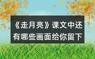 《走月亮》課文中還有哪些畫面給你留下了深刻的印象？和同學(xué)交流。