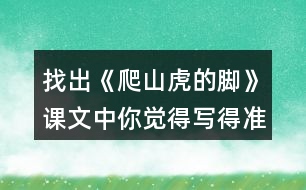 找出《爬山虎的腳》課文中你覺得寫得準(zhǔn)確、形象的句子，抄寫下來(lái)。