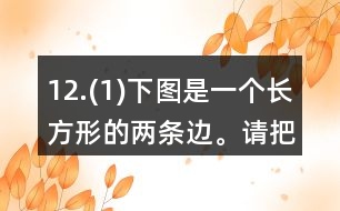 12.(1)下圖是一個(gè)長(zhǎng)方形的兩條邊。請(qǐng)把這個(gè)長(zhǎng)方形畫(huà)完整。