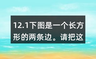 12.（1）下圖是一個(gè)長(zhǎng)方形的兩條邊。請(qǐng)把這個(gè)長(zhǎng)方形畫(huà)完整。