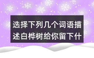 選擇下列幾個(gè)詞語(yǔ)描述白樺樹(shù)給你留下什么印象