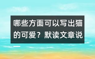 哪些方面可以寫出貓的可愛？默讀文章說一說