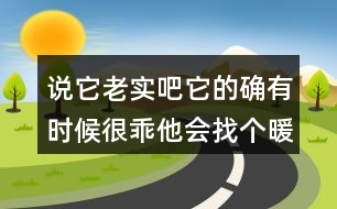 說(shuō)它老實(shí)吧它的確有時(shí)候很乖他會(huì)找個(gè)暖和的地方仿寫