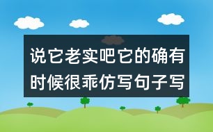 說它老實(shí)吧它的確有時(shí)候很乖仿寫句子寫人物