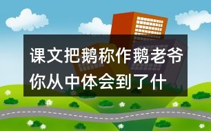 課文把鵝稱作鵝老爺,你從中體會(huì)到了什么?