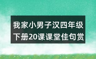 我家小男子漢四年級下冊20課課堂佳句賞析筆記