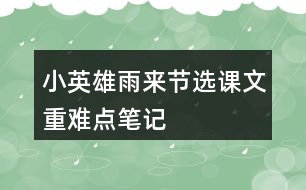 小英雄雨來（節(jié)選）課文重難點筆記