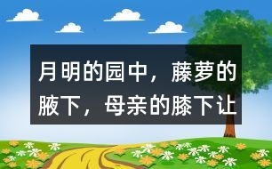 “月明的園中，藤蘿的腋下，母親的膝下”讓你有何感受？