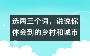 選兩三個(gè)詞，說(shuō)說(shuō)你體會(huì)到的鄉(xiāng)村和城市生活有何不同