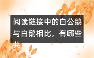 閱讀鏈接中的白公鵝與白鵝相比，有哪些共同點(diǎn)？