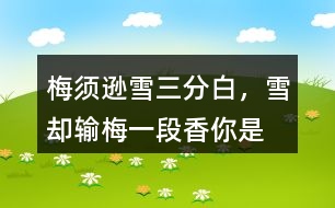 “梅須遜雪三分白，雪卻輸梅一段香”你是如何理解的