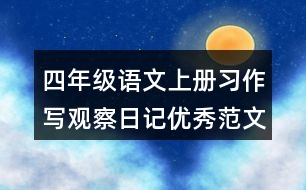 四年級語文上冊習作：寫觀察日記優(yōu)秀范文2則