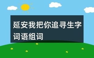 延安我把你追尋生字詞語組詞