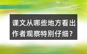 課文從哪些地方看出作者觀察特別仔細(xì)？