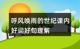 呼風(fēng)喚雨的世紀(jì)課內(nèi)好詞好句理解