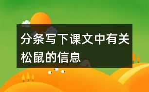 分條寫下課文中有關松鼠的信息