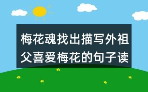 梅花魂找出描寫外祖父喜愛梅花的句子讀一讀，體會(huì)這些句子對(duì)表達(dá)外祖父的思鄉(xiāng)之情有什么好處。