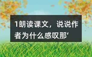 1、朗讀課文，說說作者為什么感嘆“那‘鳥的天堂’的確是鳥的天堂”。