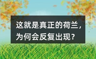 這就是真正的荷蘭，為何會反復(fù)出現(xiàn)？