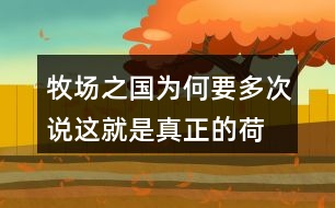 牧場之國為何要多次說“這就是真正的荷蘭”