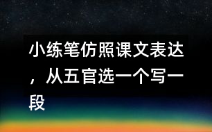 小練筆：仿照課文表達，從五官選一個寫一段話