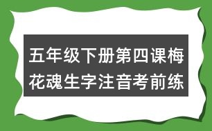 五年級(jí)下冊(cè)第四課梅花魂生字注音考前練習(xí)題目答案