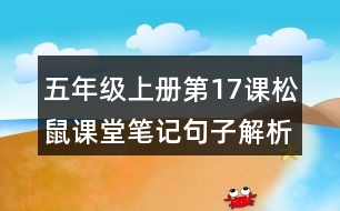 五年級上冊第17課松鼠課堂筆記句子解析