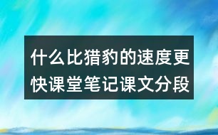 什么比獵豹的速度更快課堂筆記課文分段及大意