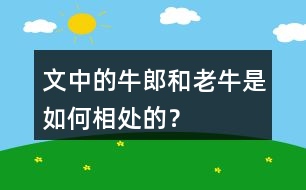 文中的牛郎和老牛是如何相處的？