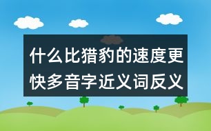 什么比獵豹的速度更快多音字近義詞反義詞