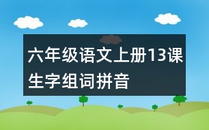 六年級語文上冊13課生字組詞拼音