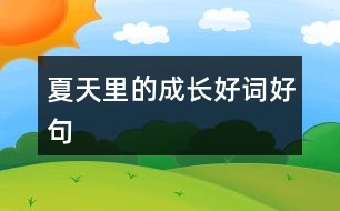 夏天里的成長好詞好句