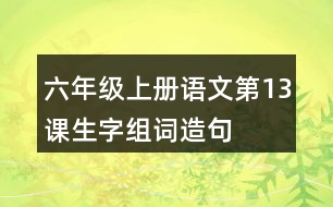 六年級上冊語文第13課生字組詞造句