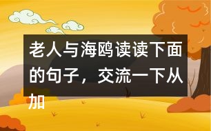 老人與海鷗讀讀下面的句子，交流一下從加點的詞句中體會到了什么，再把句子抄下來。